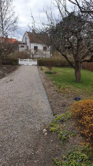 Grusgång med nyinstallerad stålkant längs med blomsterbädd, omgiven av trädgård och hus.