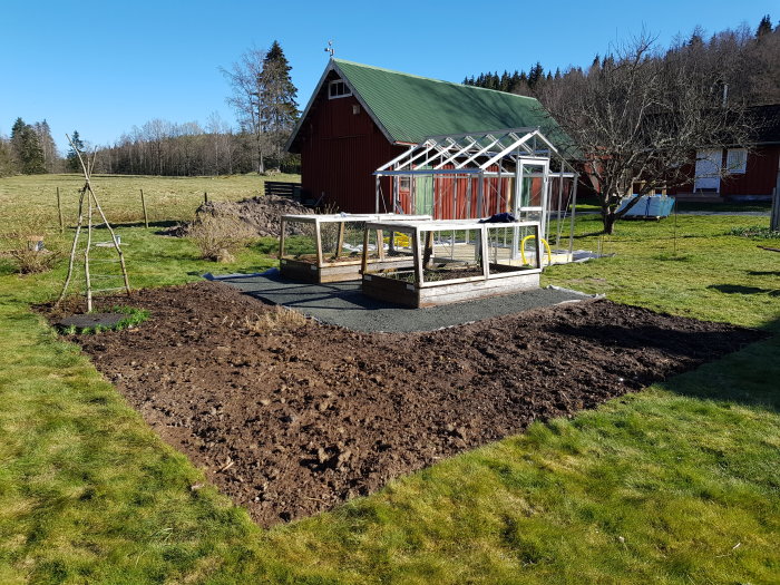 Bergkross mellan odlingslådor med ett växthus i bakgrunden, bortgrävt gräs i förgrunden på en solig dag.