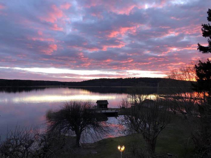 En solnedgång med rosa moln över en lugn sjö med en brygga och träd i silhuett.