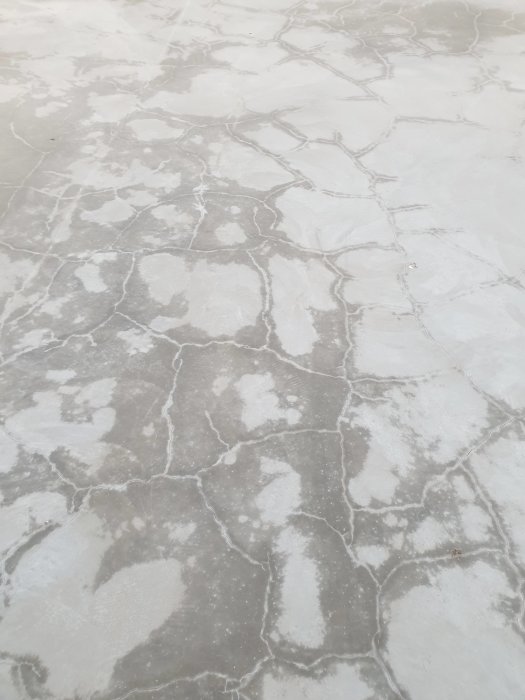 En nygjuten betonggolv med synliga torkningsmönster och sprickor som bildar ett nätverk.