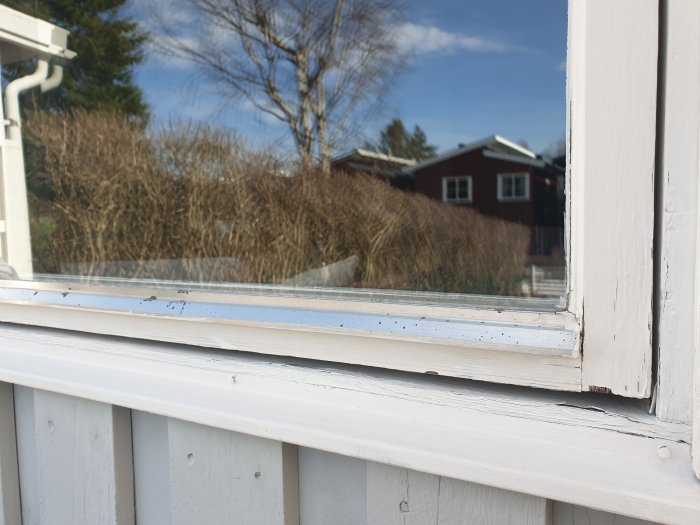 Närbild på vitmålat fönster i behov av målning med märken efter borttagna persienner och ett hus i bakgrunden.