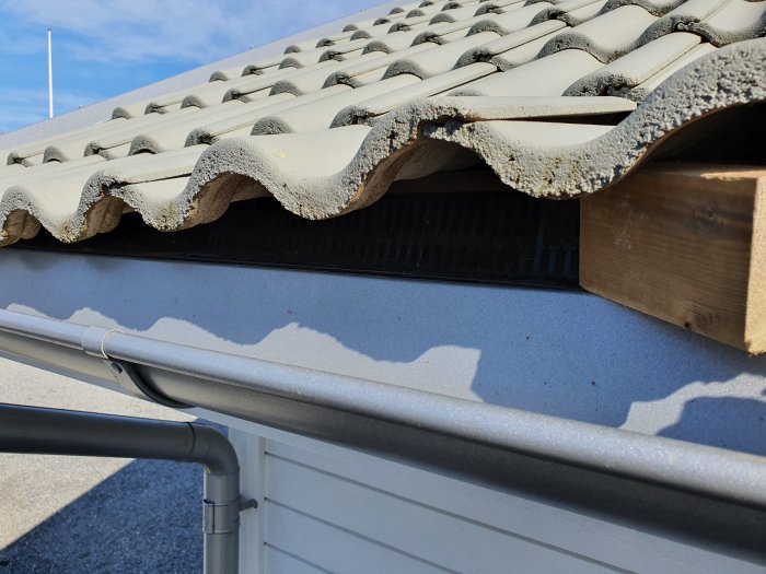 Närbild på ett hustak där nedersta raden takpannor vilar på takfoten med synligt utrymme för småfåglar att ta sig in.