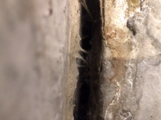Närbild på en spricka i en betongvägg med tecken på fukt och skador.