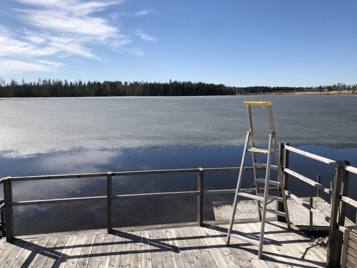 En brygga med en stege som leder ner mot ett delvis isbelagt vatten, med skog i bakgrunden.