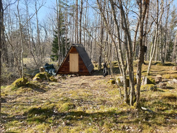 Nybyggd liten stuga med färdiga kortsidor och dörr, belägen i skogsmiljö med solljus och mossa på marken.