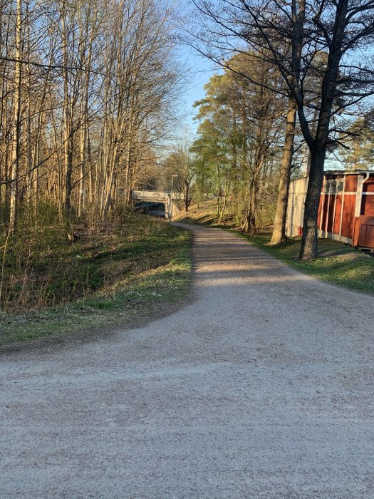 Grusväg som leder mot en tunnel med träd runt omkring under en solig dag.