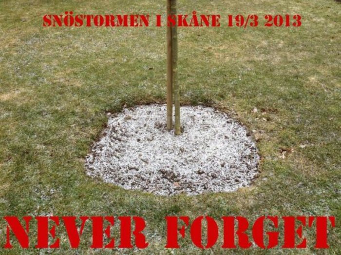 Liten cirkel av snö kring ett flaggstångsfot i en gräsmatta, text "Snöstormen i Skåne 19/3 2013 Never Forget".