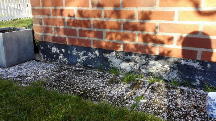 Radhussockel med flagnande färg och små sprickor under tegelvägg.