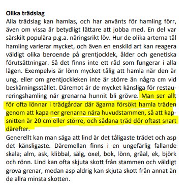 Bild av en texturklippning som informerar om att gamla lönnträd inte tål hamlas och kan avlida efter ingreppet.
