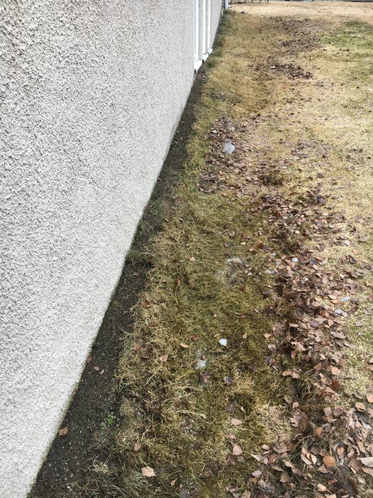 Bild på grunden till en villa med synlig isolering och en gräsmatta som behöver klippas, intill en husvägg.
