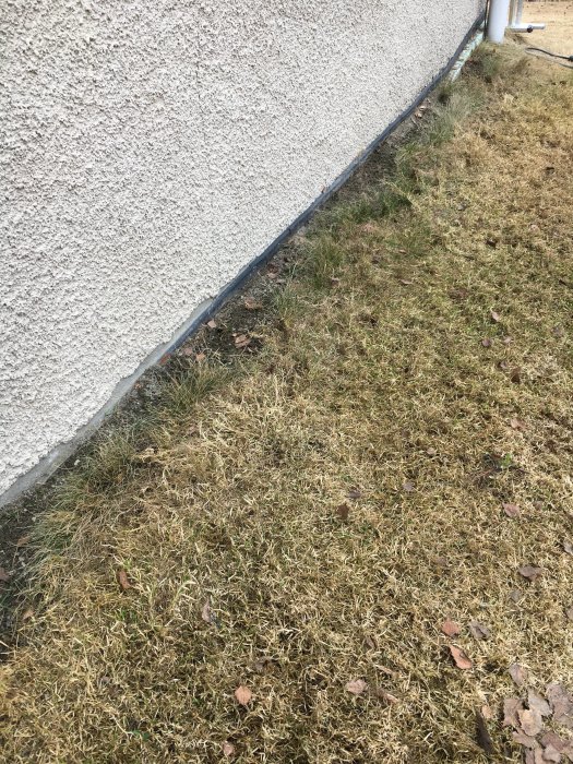 Villa med gräsmatta och bar grund där isolering syns; förslag på förbättring diskuteras.