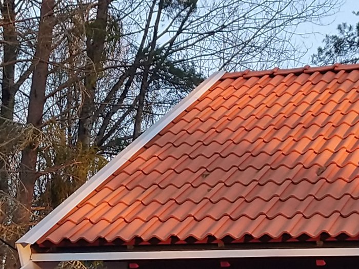 Närbild av ett nytt tegelrött tak med många synliga skruvar i skymningen.