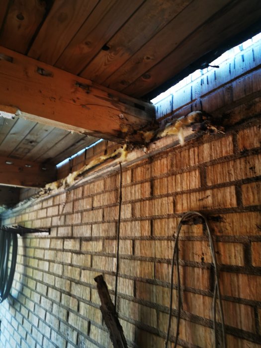 Skadad träbjälke med synlig röta och fuktskador i ett garage, intill en tegelvägg och under isoleringsmaterial.