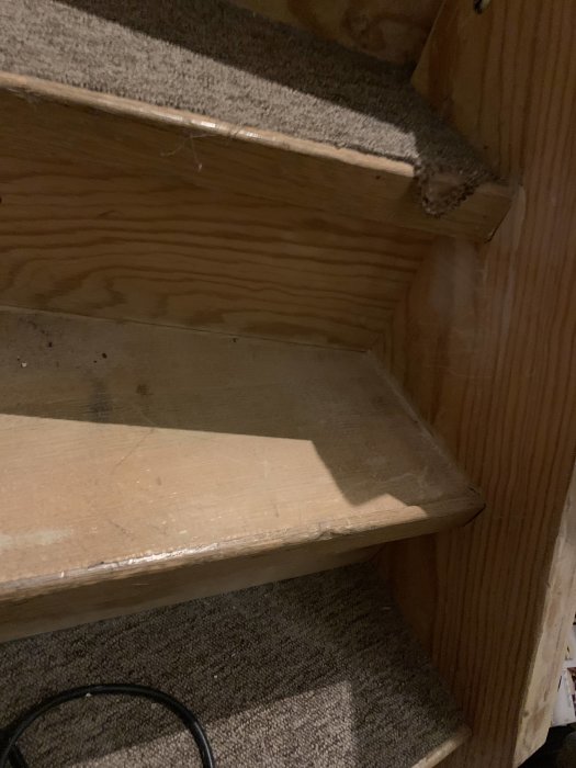 Trappa delvis täckt med nålfiltsmatta, synlig trappnos och träytor i behov av renovering.