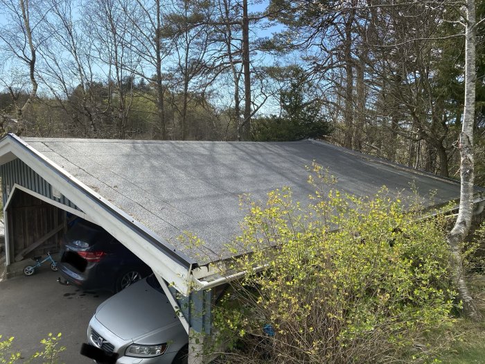 En dubbelcarport med bilar under ett sluttande tak, omgivet av grönska och träd i dagsljus.