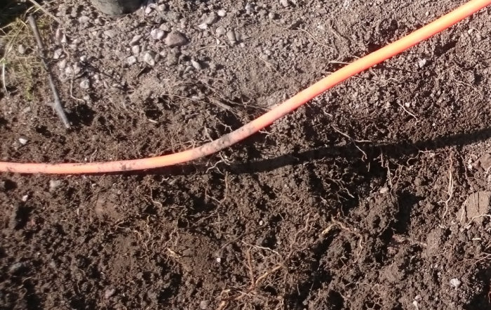 Orange fiberkabel ytligt nedgrävd i jorden upptäckt vid plantering.