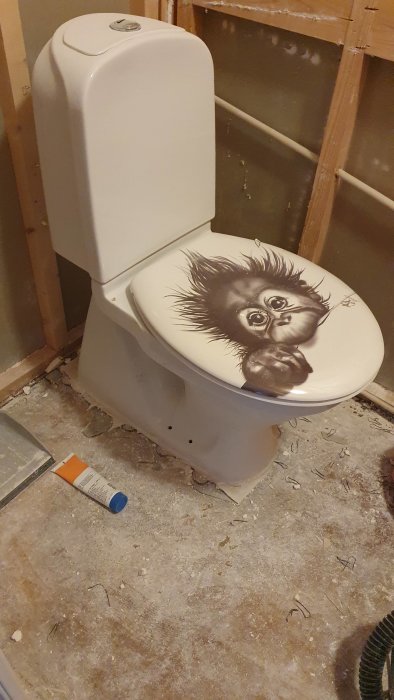 WC-stol i renoverat utrymme med öppen vägg och en illustration på locket.