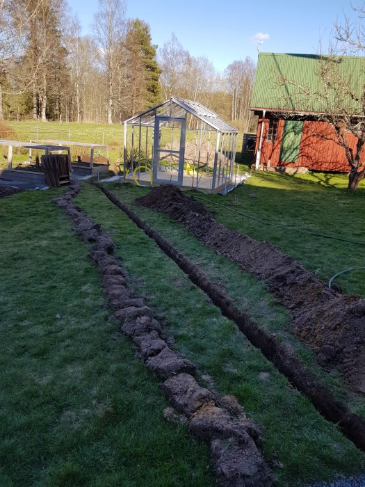 Grävd ränna i trädgård för fiberslang och vattenledning, växthus och röd stuga i bakgrunden.