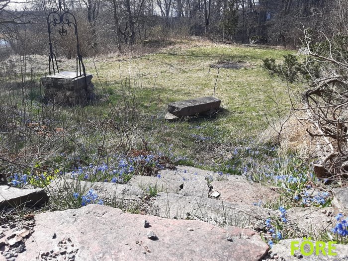 En övervuxen trädgård med blå blommor, gammal brunn och stenar som skulle kunna renoveras.