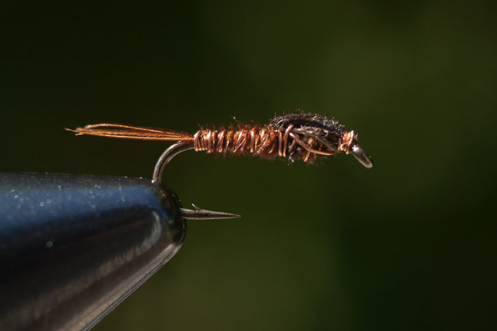 Närgrånd av en handgjord Pheasant tail nymph flugbindning med tunna koppartrådar och fasanstjörtfibrer.