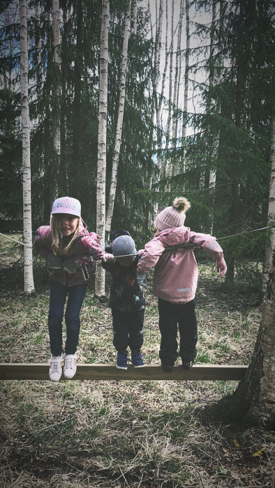 Tre barn balanserar på en stock i skogen, omgivna av björkar och barrträd.