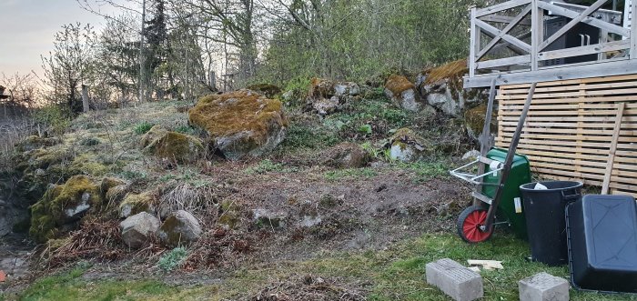 En övervuxen trädgårdsslänt med stenar och en början på en stenmur och trappa, bredvid en skottkärra och kompost.