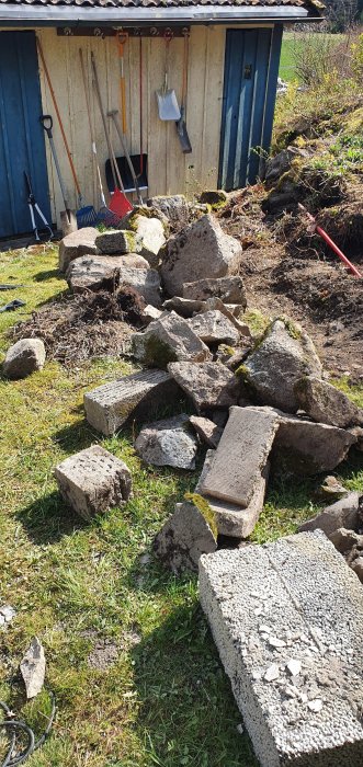 Övervuxen slänt under omvandling med uppgrävda stenar och jord som organiserats i en börjande stenmur vid en redskapsbod.