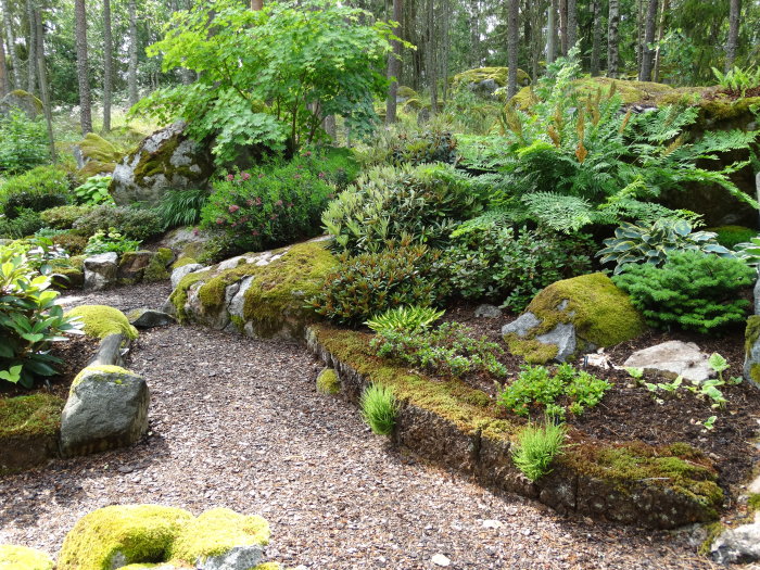 Naturträdgård med asymmetriskt placerade stenar, täckbarksgångar och frodig växtlighet.