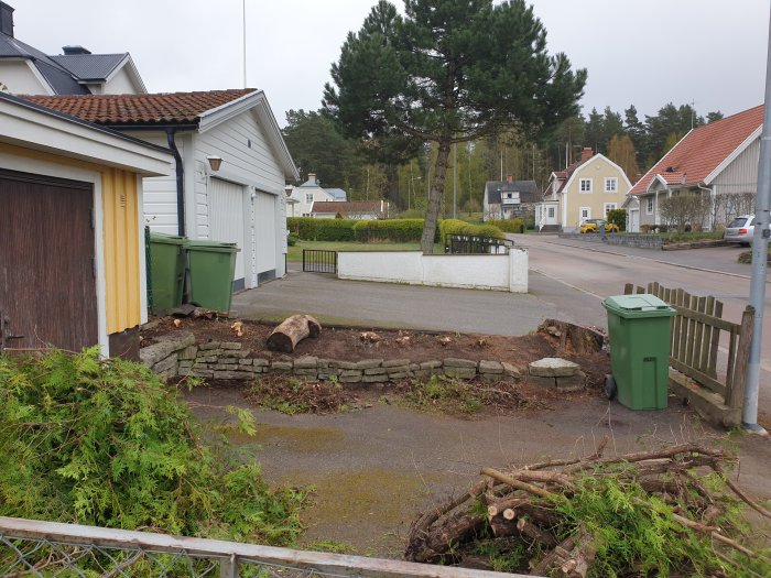 Nedtagen tujahäck med grenar och trädstammar framför en tomt, grannhus och soptunnor i bakgrunden.