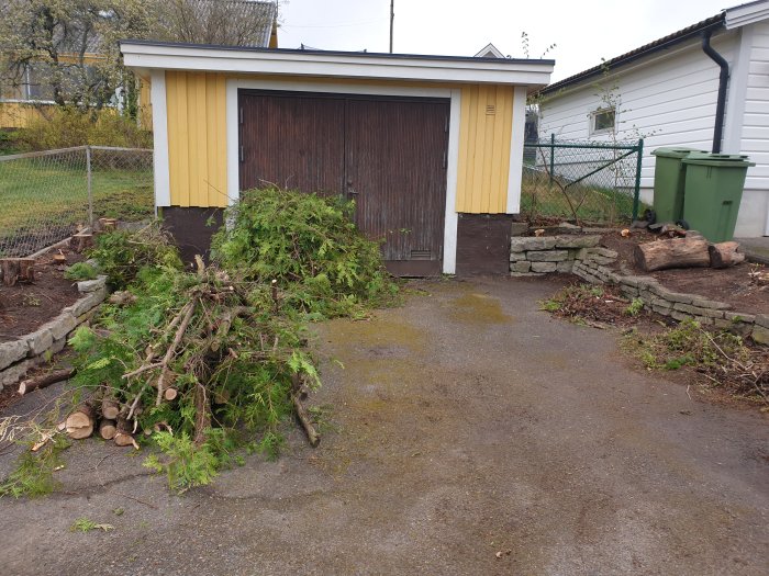 Beskuren tujahäck och timmer framför garage på en uppfart, nedtagen på grund av grannens önskemål.