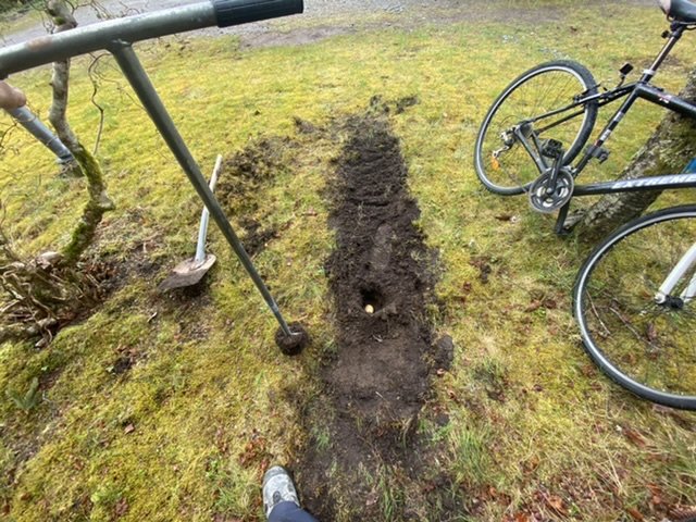 Nygrävd ränna för sättning av potatis i trädgården med en spade och cykel i bakgrunden.