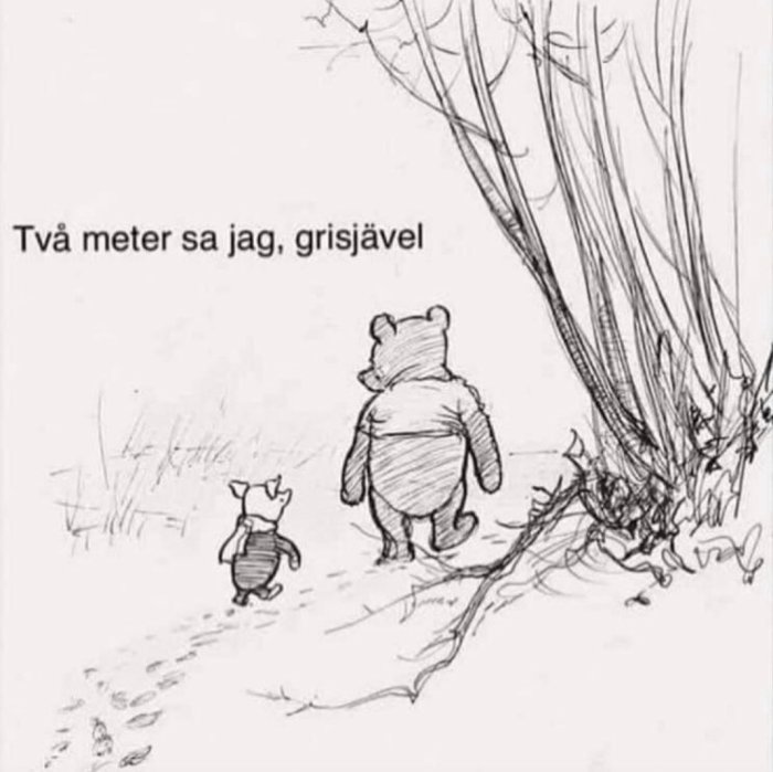 Illustration av två björnar som går, med texten "Två meter sa jag, grisjävel".