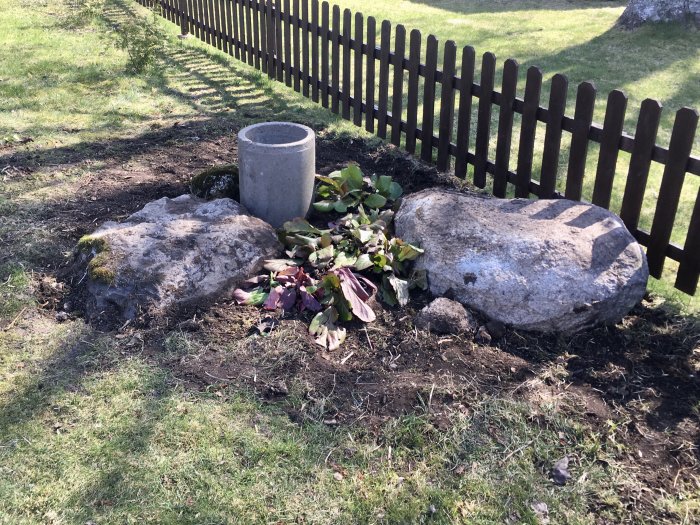 Cementrör vid stenbumlingar i trädgård, potentiell växtplats.