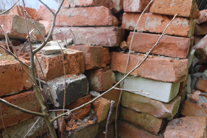 En hög med gamla, oordnade tegelstenar i olika färger med synligt slitage och föroreningar, samt visset växtlighet.