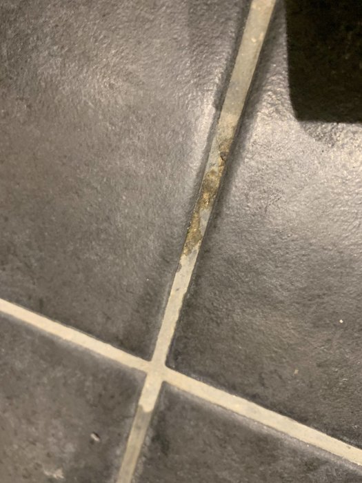 Närbild på svart kakel med skadad fog och synliga tecken på slitage.