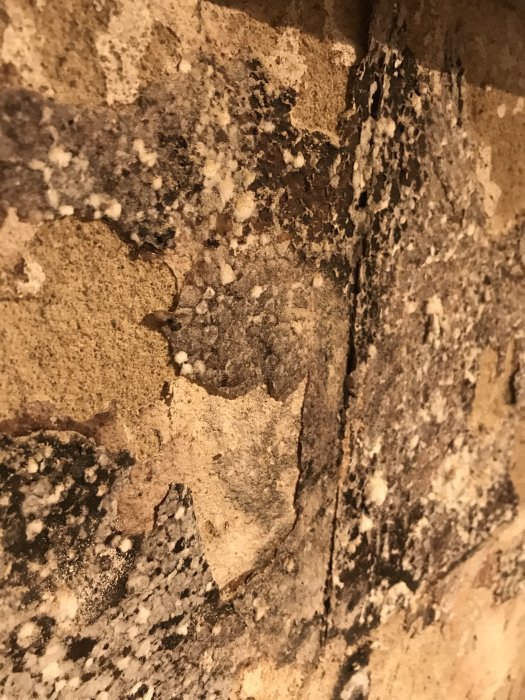 Närbild på en gammal källarvägg där betongen har svarta påstruken substans och frigolitrester.