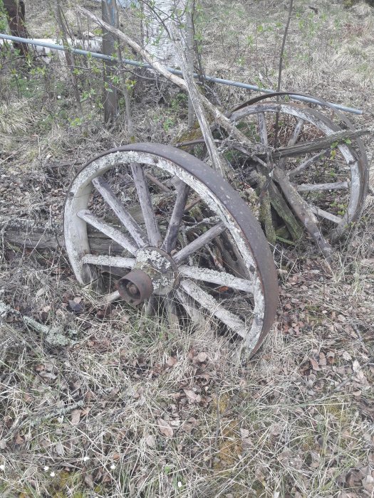 En övergiven rostig jordbruksvagn med träkonstruktion och stort metallhjul i förfall i en äng.