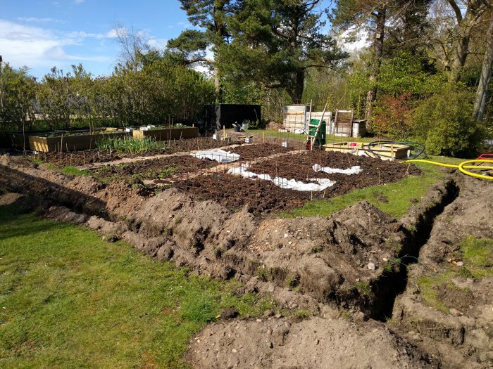 Trädgård med grävd skyttegrav, odlingsbäddar och en stege i bakgrunden.