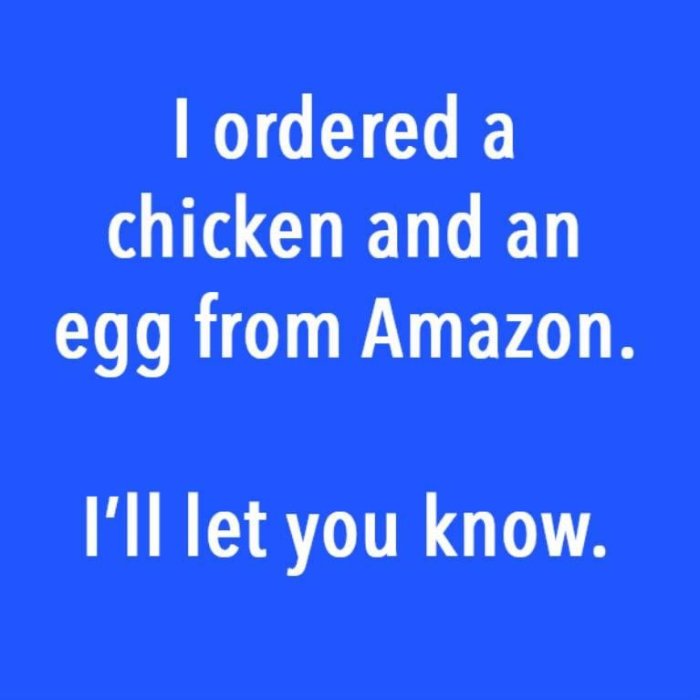 Text på blå bakgrund: "I ordered a chicken and an egg from Amazon. I’ll let you know.