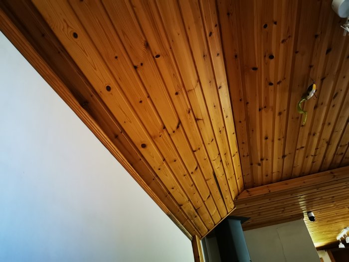 Innertak av trä med synliga knutar och vita väggar i ett fritidshus, möjlig mögelproblem.