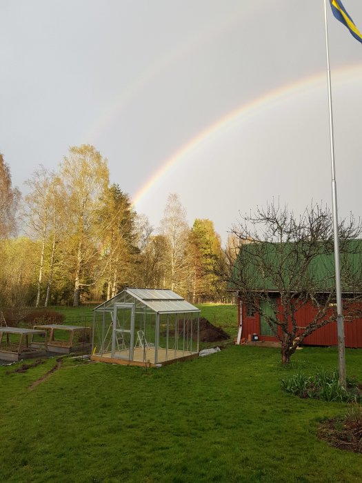 Nästan färdigbyggt växthus i trädgården med en regnbåge i bakgrunden.