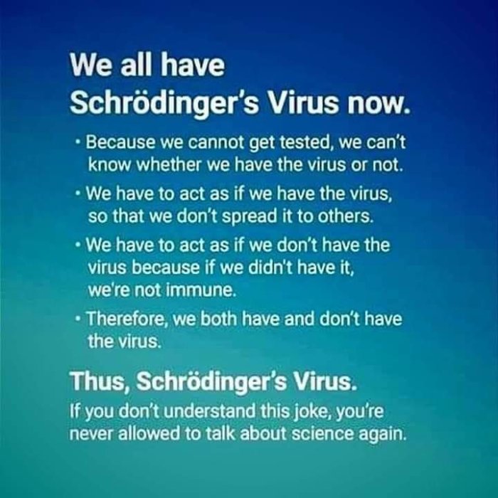 Text på blå bakgrund som diskuterar konceptet "Schrödinger's Virus" som en liknelse med Schrödinger's katt experiment.