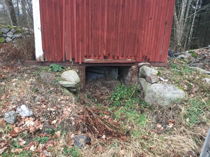 Uthus med rödfärgad vägg och synlig jordkällargrund med stenar och vegetation som indikerar äldre byggteknik.