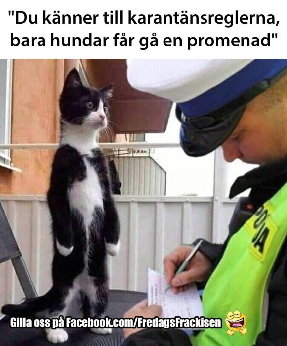 Svartvit katt står på bakben, ser på person i polisuniform som skriver på lapp.