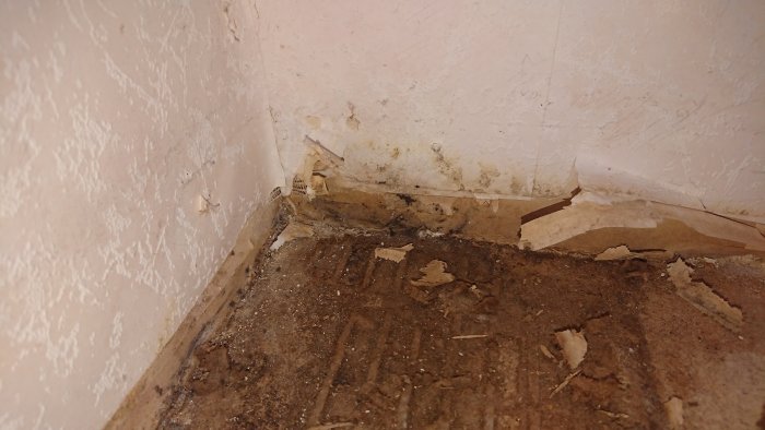Hörn av ett rum med skadad golv och vägg, synliga fuktfläckar och avflagad färg, tillsammans med sågspån.