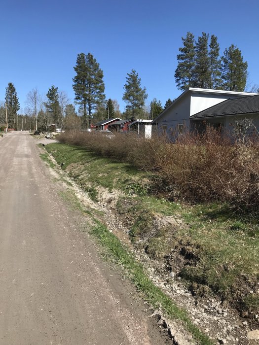 Grusväg med rör under, hus och träd på sidan och ett område med gräs och buskar.