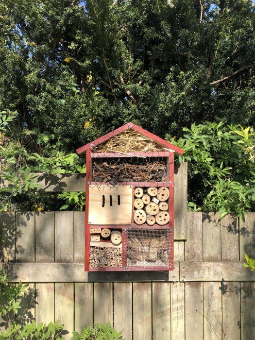 Insektshotell monterat på ett staket med olika naturmaterial som bamburör och kottar för att locka insekter.