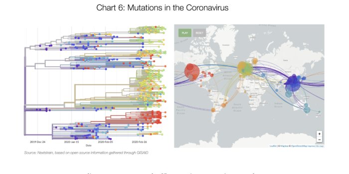 Fylogenetiskt träd och global spridningskarta som visar mutationer av coronaviruset.