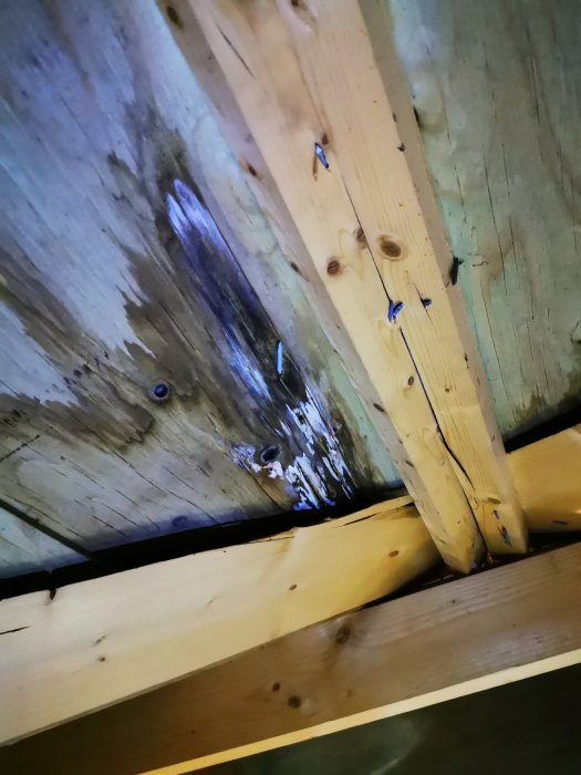 Fuktskada på träbjälkar i vindens nock med mörka missfärgningar.