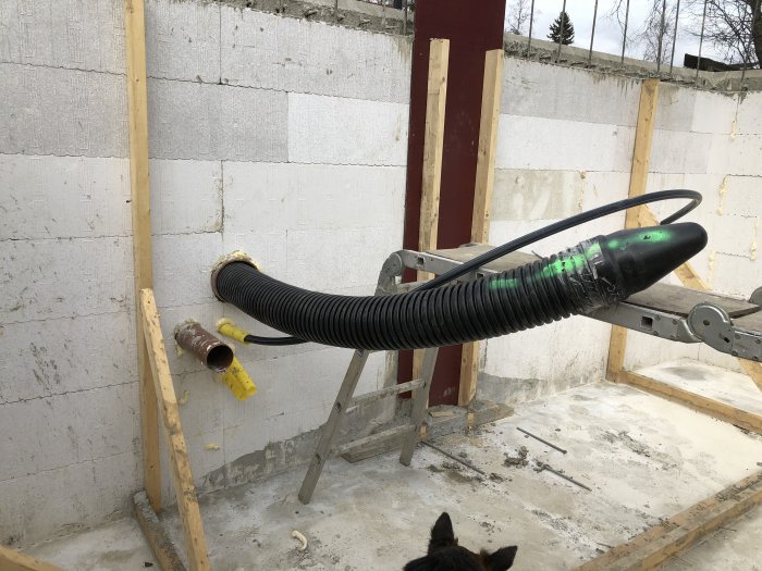 Svart kulvert ansluten till väggen i en källare med synlig dränering och en hunds öron i förgrunden.